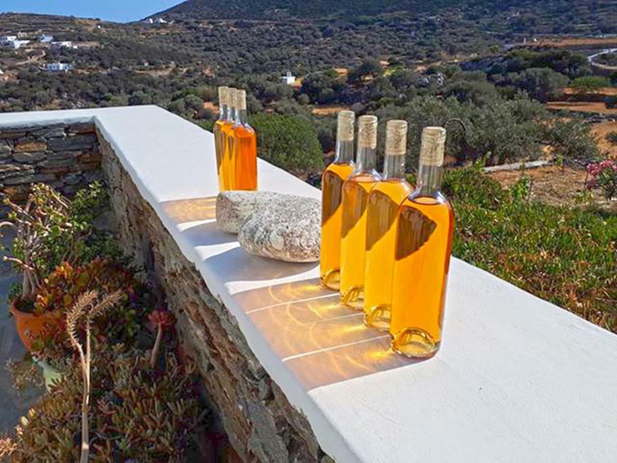 Cycladic Vineyard House Hébergement de vacances